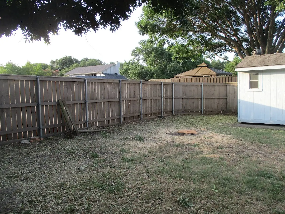 Cleared yard after professional tree removal in Churubusco